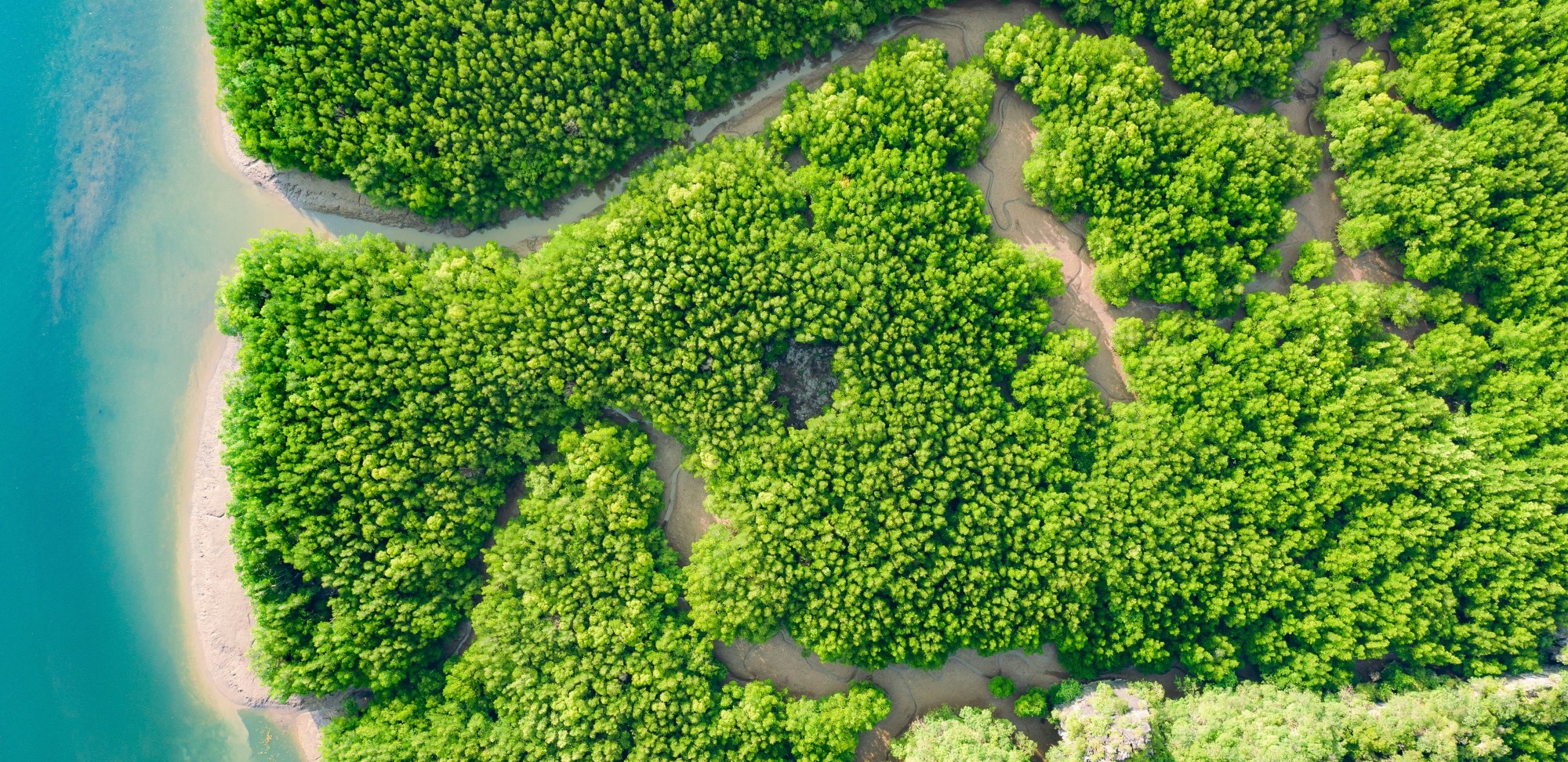An aerial view of the sea and land.