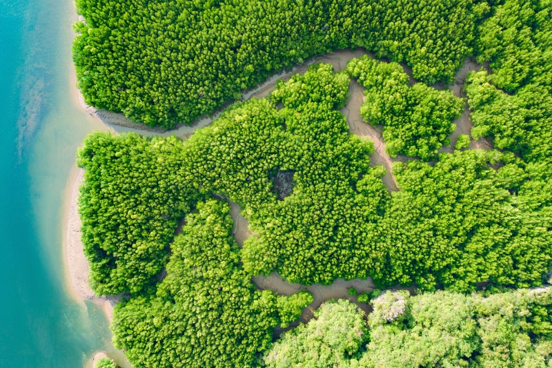 An aerial view of the sea and land.