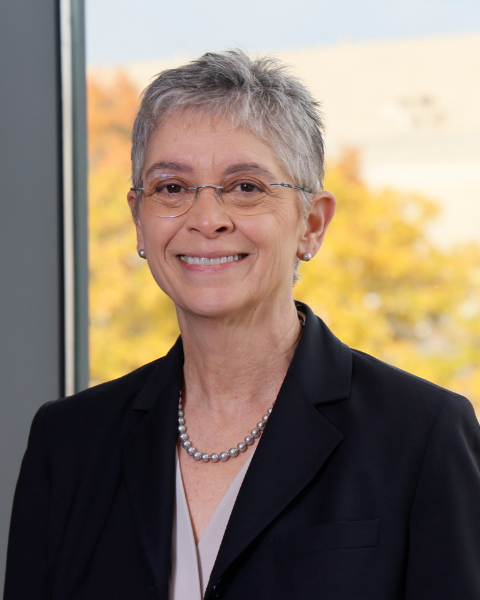 Cynthia Carnes, PhD | Vice President for Research and Innovation